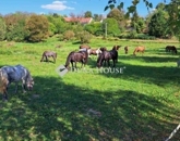 Eladó családi ház Egerág 159 000 000 Ft