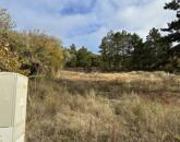 Eladó telek/földterület Velence 99 000 000 Ft