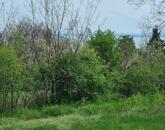 Panorámás építési telek eladó Balatonalmádiban!