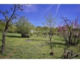 Eladó családi ház Pécs 52 000 000 Ft