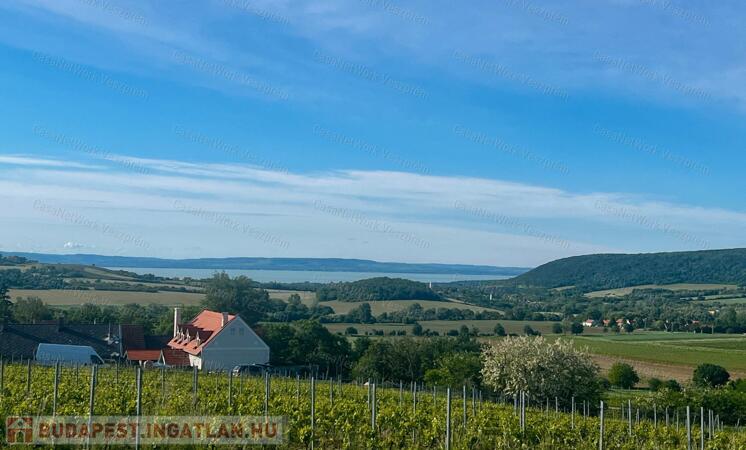 Eladó telek Szentjakabfán                                 