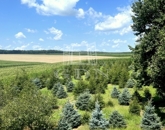 Eladó telek/földterület Rigyác 4 990 000 Ft