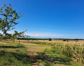 Eladó telek/földterület Baksa 10 800 000 Ft