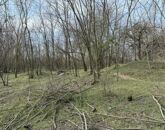 Eladó ipari ingatlan Lajosmizse 5 200 000 Ft