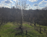 Eladó telek/földterület Vasvár 5 500 000 Ft