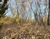 Eladó telek/földterület Dömsöd 11 600 000 Ft