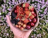 Eladó telek/földterület Pécs 47 000 000 Ft