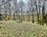 Eladó telek/földterület Budapest II. ker 400 000 000 Ft