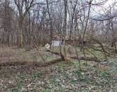 Eladó telek/földterület Páka 2 250 000 Ft