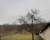 Eladó családi ház Legénd 22 000 000 Ft