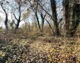 Eladó telek/földterület Dömsöd 4 400 000 Ft