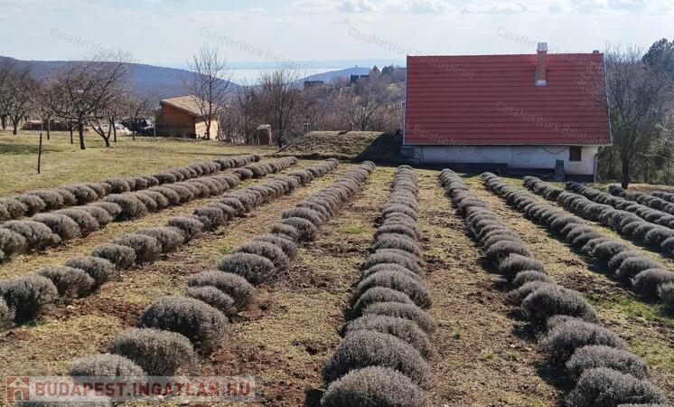 HÁZ BALATONI PANORÁMÁVAL, FELSŐÖRSÖN A TERMÉSZET OLDALÁN                                 