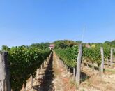 Eladó üdülő/nyaraló Rezi 45 000 000 Ft