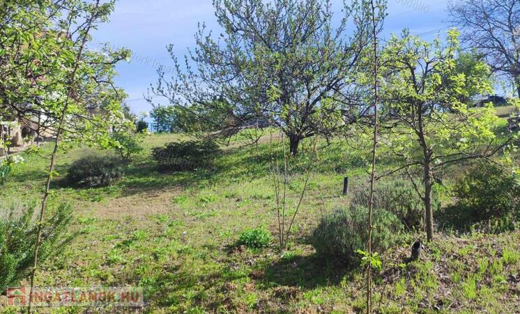 Fenyőerdő ,Panoráma, Nyugalom-Eladó Telek Mogyoród