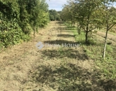 Eladó családi ház Vajszló 17 000 000 Ft