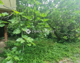 Eladó családi ház Budapest XII. ker 399 000 000 Ft