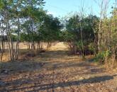 Eladó 2238 m²-es, megosztható belterületi telek Jászkiséren, bontandó házzal