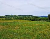 Kedvező adottságokkal-eladó MEZŐGAZDASÁGI TERÜLET BALATONRENDESEN