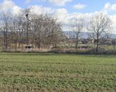 Eladó telek/földterület Tata 20 500 000 Ft