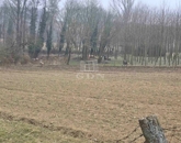 Eladó családi ház Bezeréd 12 900 000 Ft