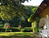 Ősfás birtok saját patakkal az erdő, a Nemzeti Park közepén