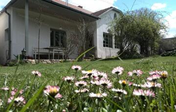 Eladó családi ház