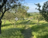 Eladó családi ház Szekszárd 30 900 000 Ft