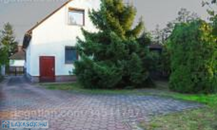 Ősfás környezeteben , tó közeli családi ház                                 