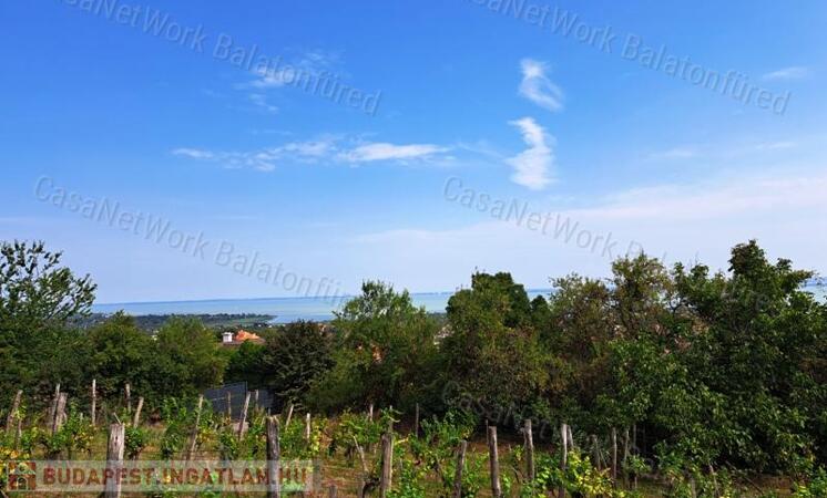 Panorámás terület - eladó MEZŐGAZDASÁGI TERÜLET BALATONFÜREDEN                                 