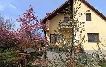 Eladó családi ház