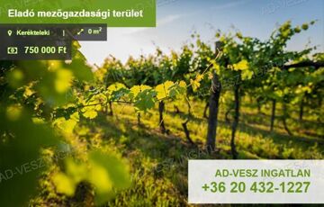 Eladó ipari ingatlan