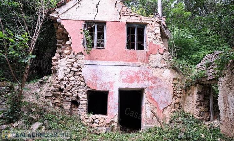 Erdő közepén -eladó LAKÓHÁZ és GAZDASÁGI ÉPÜLET PÉCSELYEN                                 