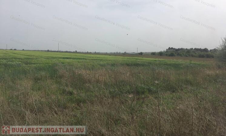 Értékes iparterület                                 