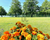 Eladó családi ház Környe 220 000 000 Ft