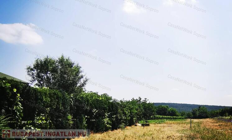 Külterület- rövid távú befektetésre                                 