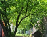 Eladó családi ház Szigetújfalu 15 900 000 Ft