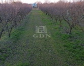 Eladó családi ház Dunafalva 10 000 000 Ft