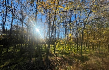 Eladó telek/földterület