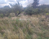 Eladó telek/földterület Kővágószőlős 5 500 000 Ft