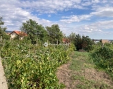 Eladó családi ház Pécs 16 999 000 Ft