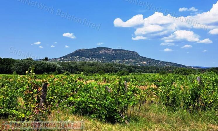 Kedvező lokációban - eladó SZŐLŐ terület NEMESGULÁCSON                                 