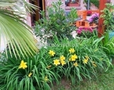 Eladó családi ház Pogány 104 000 000 Ft