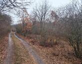Eladó 1/1 tulajdonú ERDŐ BALATONUDVARIBAN