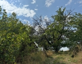 Eladó családi ház Lovasberény 27 700 000 Ft