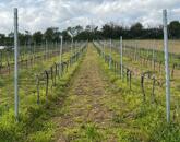 Eladó ÖRÖK PANORÁMÁS zártkert Óbudaváron! 3989nm!