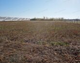 Eladó telek/földterület Tiszasziget 93 000 000 Ft