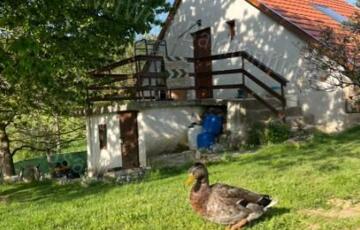 Eladó családi ház