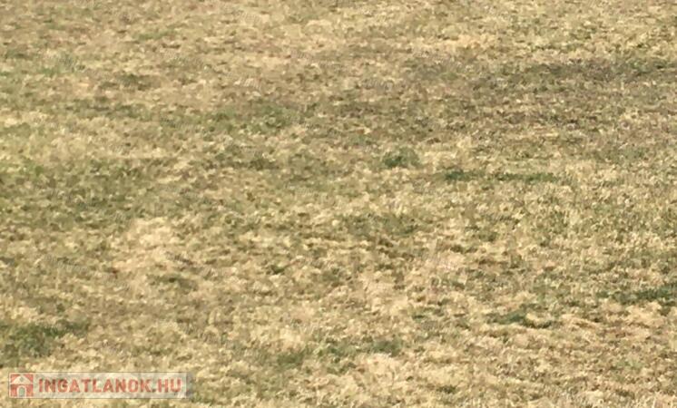 2,5 hektár szántó