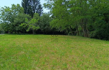 Eladó telek/földterület