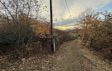 Eladó telek/földterület